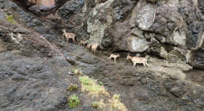 'Tetiğe değil deklanşöre basalım'