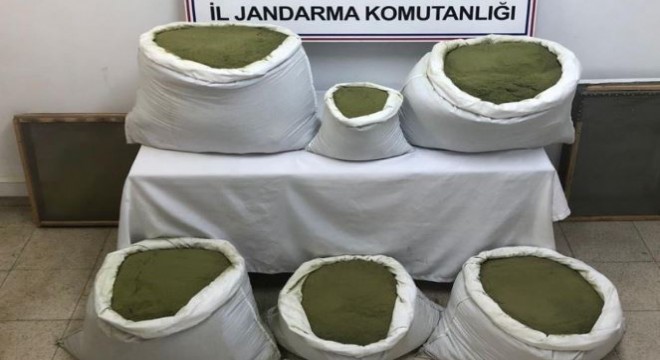 101 kilo toz esrar, 2 bin kök kenevir ele geçirildi