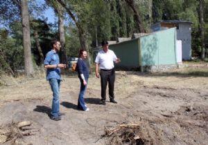 SERTOĞLU'NDAN AĞAÇ SAVUNMASI