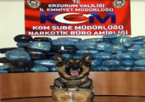 ERZURUM'DA UYUŞTURUCU OPERASYONU