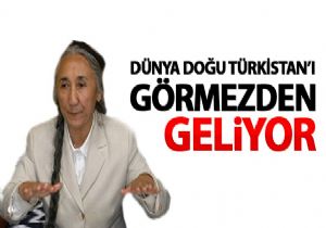 Türkistan sahipsiz