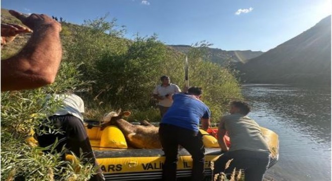 Aras Nehri'nde kurtarma operasyonu