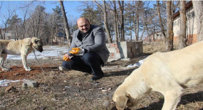 Aziziye Belediyesi'nden yaban yaşamına destek