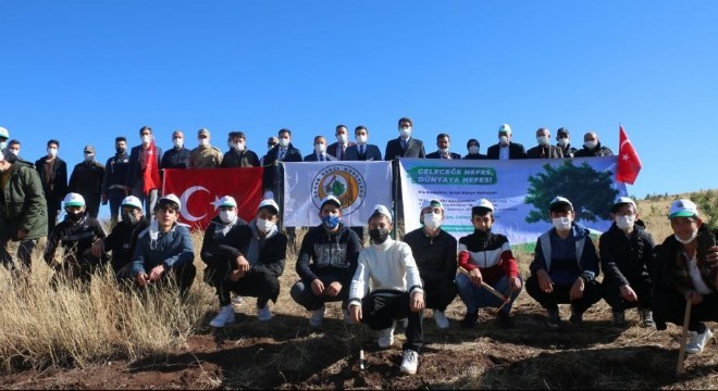 Aşkale'de bin 500 fidan toprakla buluştu