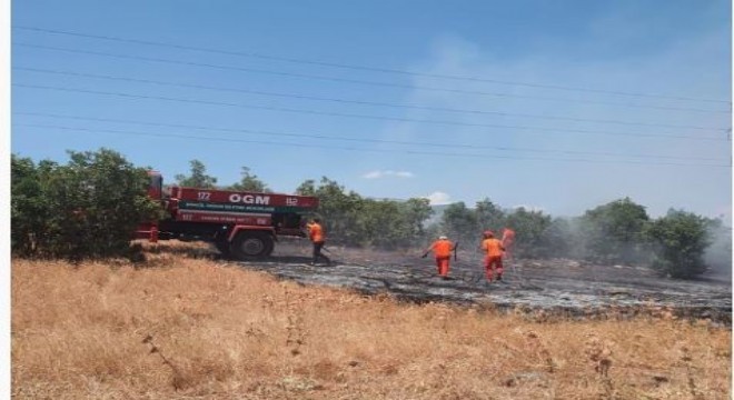 Bingöl'de orman yangını büyümeden söndürüldü