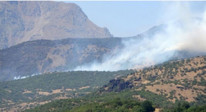 Bingöl'de orman yangını devam ediyor