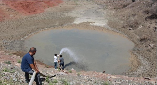 Büyükşehir'den örnek doğa hassasiyeti