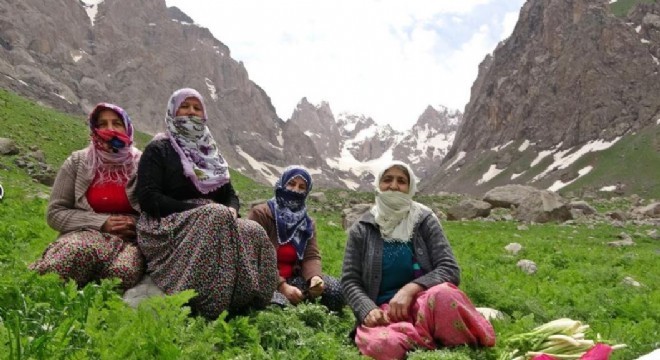 Cehennem Vadisi ‘Cennet Vadisi'ne dönüştü