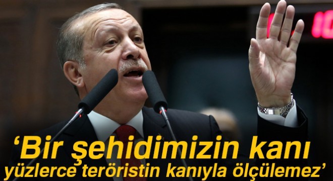 Cumhurbaşkanı Erdoğan: 'Durmayacağız'