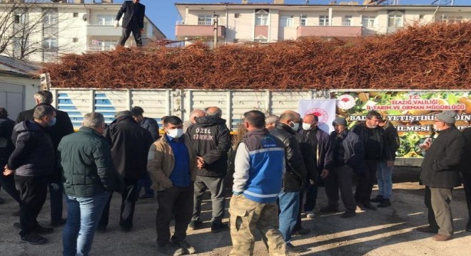 DAP BKİ'den meyve yetiştiricilerine destek