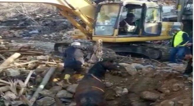 Depremin 20'nci gününde canlı olarak kurtarıldı