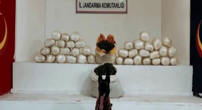 Diyarbakır'da 470 kilo skunk ve 85 kilo esrar ele geçirildi