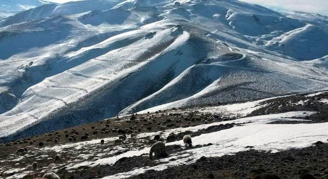 Doğu Anadolu'da kar yağışı