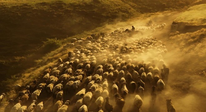 Doğu'da geleneksel besicilik kültürü yaşatılıyor
