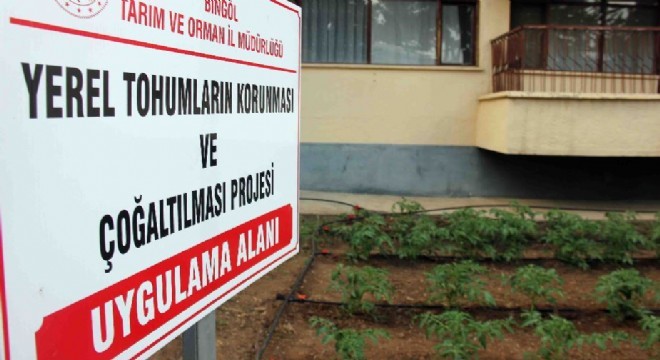 Doğu'da yerli tohum, yerli üretim seferberliği