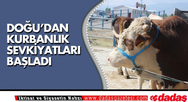 Doğu'dan kurbanlık sevkiyatları başladı