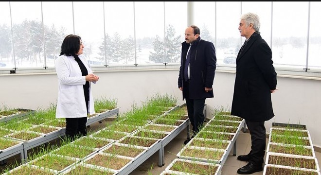 ETÜ ile DATAE arasında iş birliği