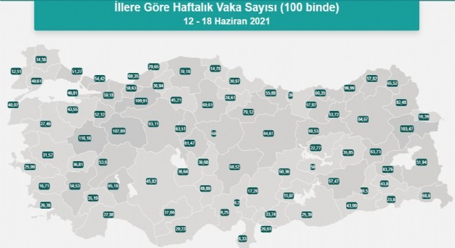 Erzurum vaka sayısında 7'inci sırada