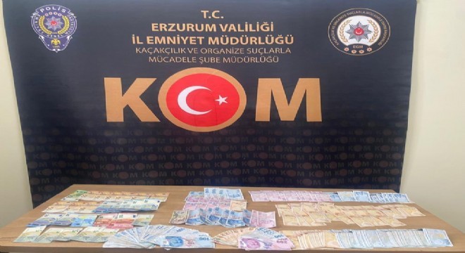 Erzurum'da  FETÖ operasyonu: 13 gözaltı