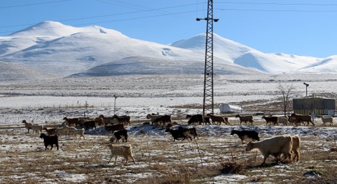 Erzurum'dan Anı'ya kültür köprüsü