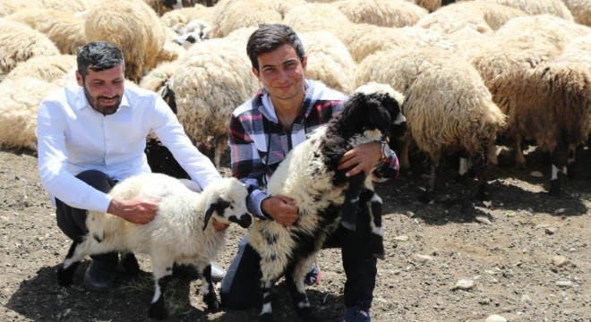 Erzurum'dan Erzincan'a yayla seferi