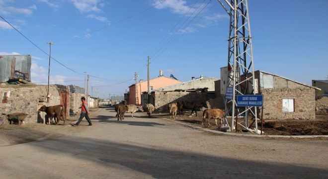 FETÖ'den muzdaripler