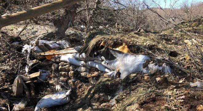 Gabar'da terör örgütünün inlerine girildi