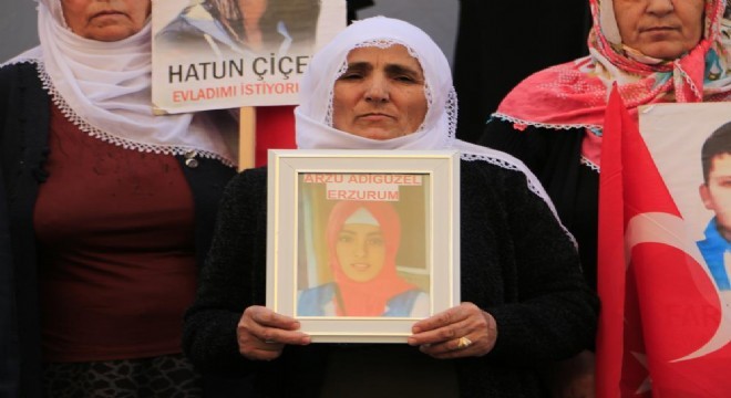 HDP ve PKK'ya karşı direnişe katılım artıyor