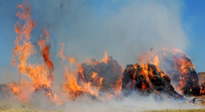 Horasan'da ot yangını