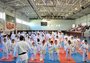 Bu da karate zirvesi