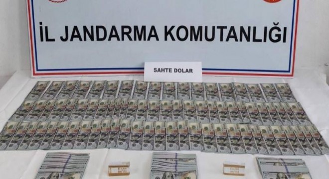 Jandarmadan sahte dolar operasyonu