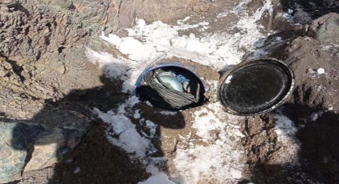 Jandarmadan terör operasyonu