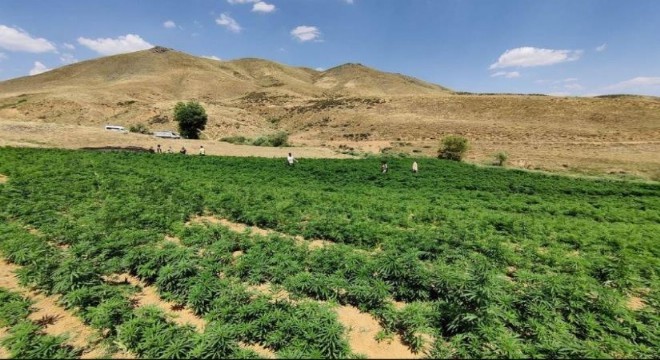 Jandarmadan, terör örgütünün finans kaynağına darbe