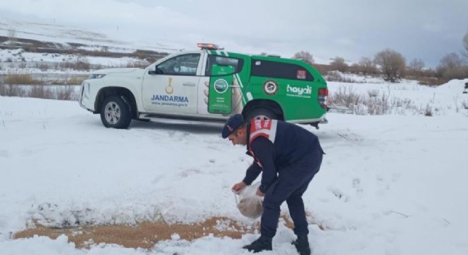 Jandarmadan yaban hayatına destek