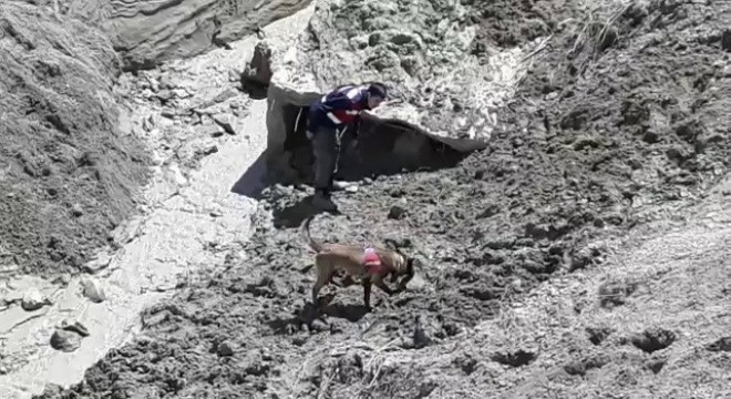 Kadavra köpeği 'Pelte' küçük Furkan'ı arıyor