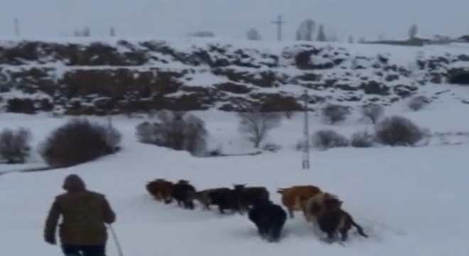 Kar Doğu'yu mesken tuttu