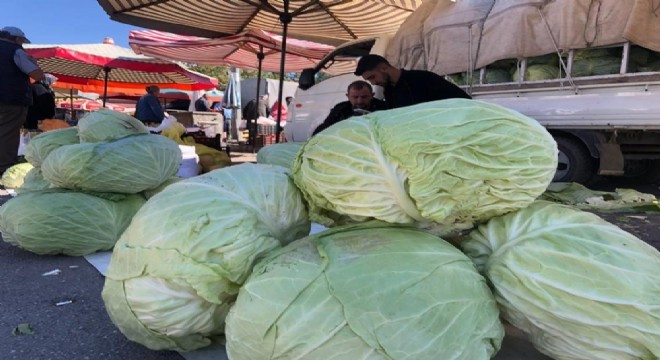 Kışlık sebzede 'Söğütlü' damgası