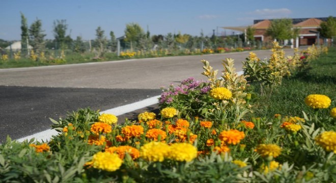 Malazgirt'te 1071 çiçek dikildi