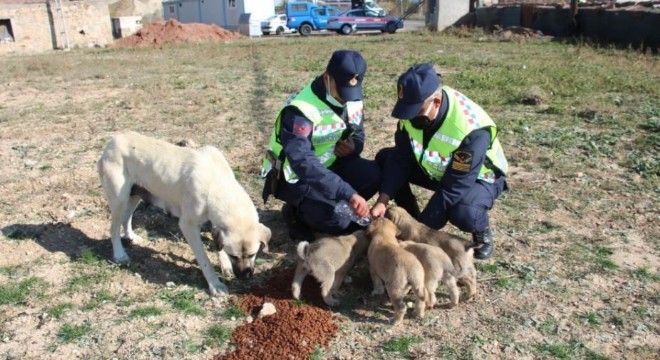 Mehmetçik'ten örnek yaklaşım