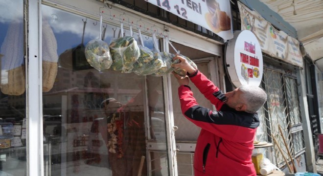 Muş'ta askıda çiriş otu uygulaması