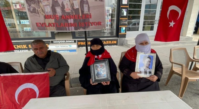 Muş'ta evlat nöbeti 81'inci haftaya girdi