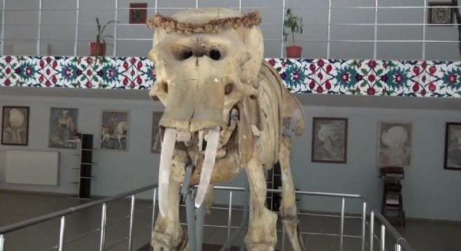 Müzecilikte Doğu Anadolu'da bir ilk