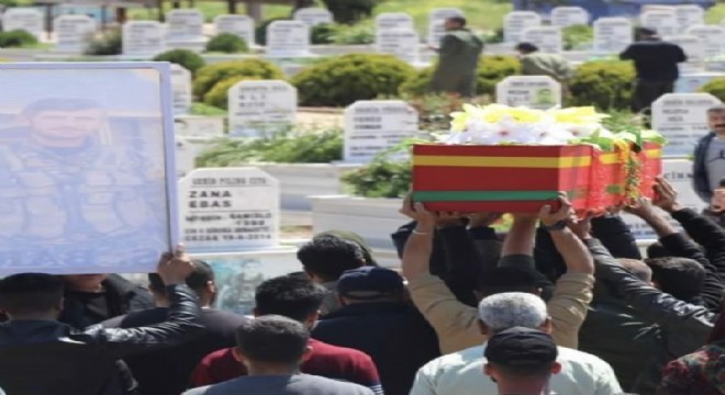 MİT'ten Kamışlı'da nokta operasyon