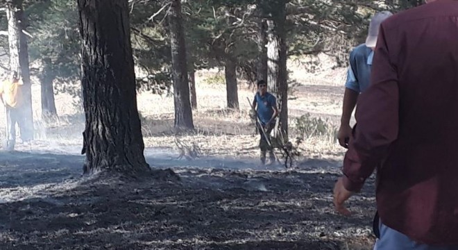 Narman Sütpınar Yaylası'nda yangın