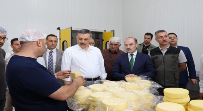 Oltu OSB'de tarımsal üretim