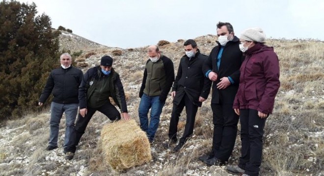 Olur Kaymakamı Eker'den yaban hayatına destek