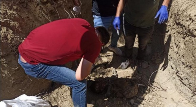 PKK içinde infazlar sürüyor