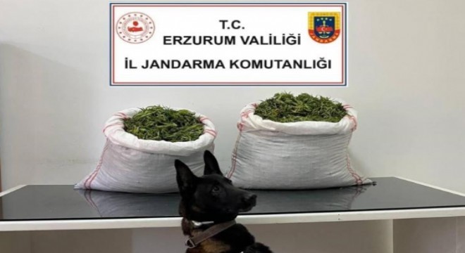 Pasinler'de uyuşturucu operasyonu