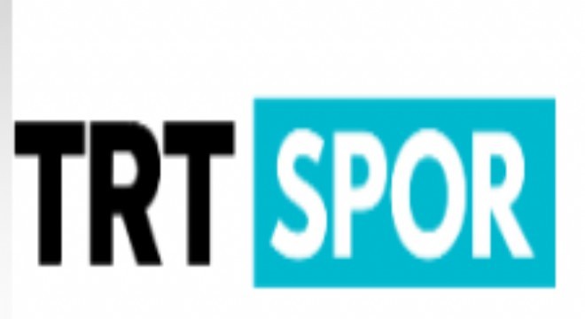 Passolig turnike sorunu TRT Spor'da ele alındı