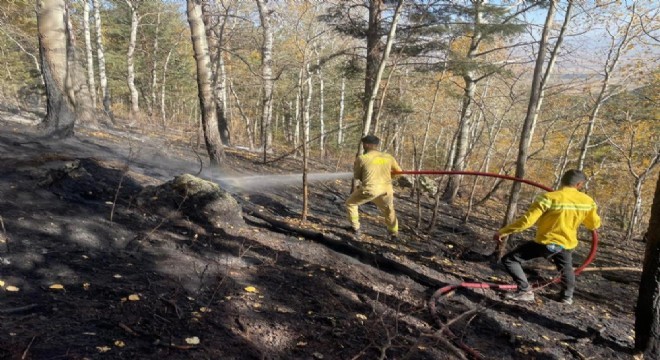 Sarıkamış'ta orman yangını